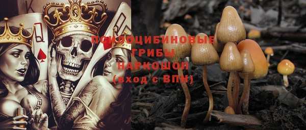 PSILOCYBIN Белоозёрский
