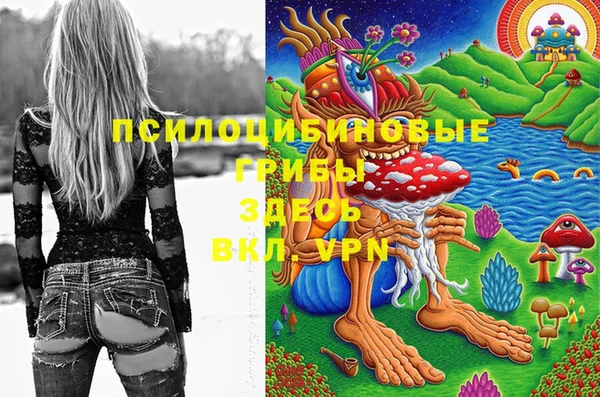 герыч Белокуриха